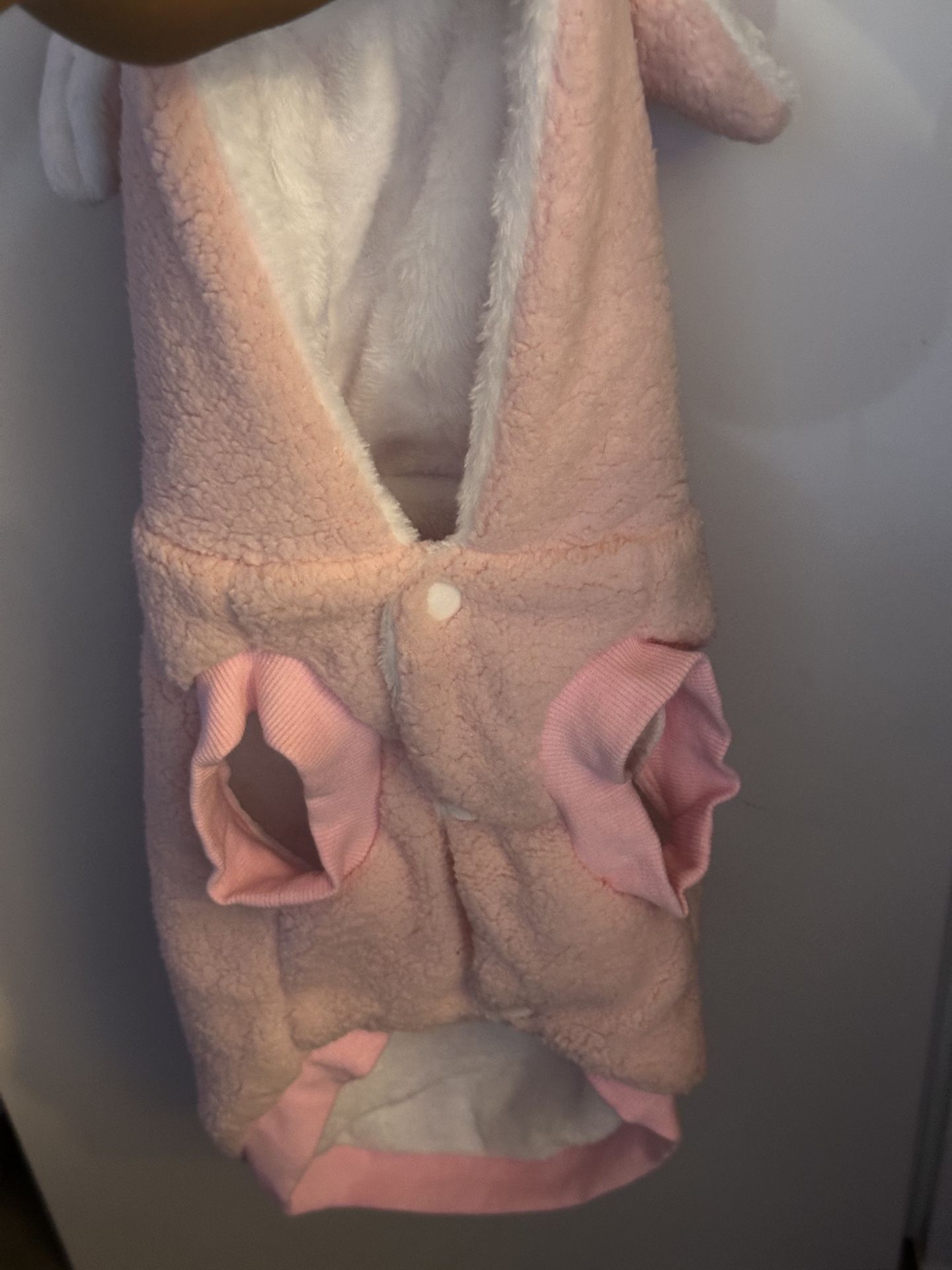 New Cat/Dog bunny Outfit..