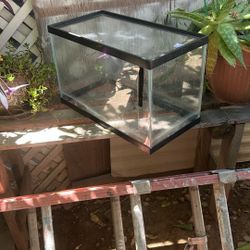 10 gallon fish tank