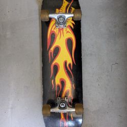 Skateboard (Lightly Used)