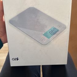 Digital Kitchen Scale 