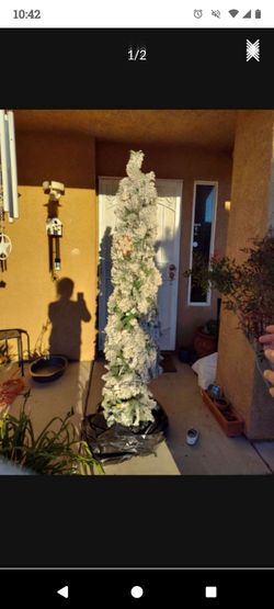 Flocked Pencil Tree $50