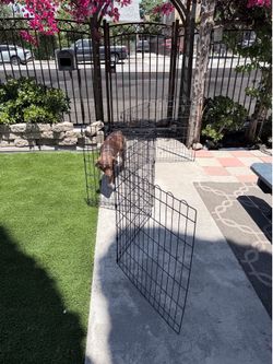Dog cage