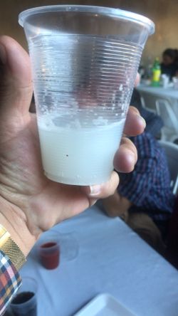 Busco aguamiel, pulque