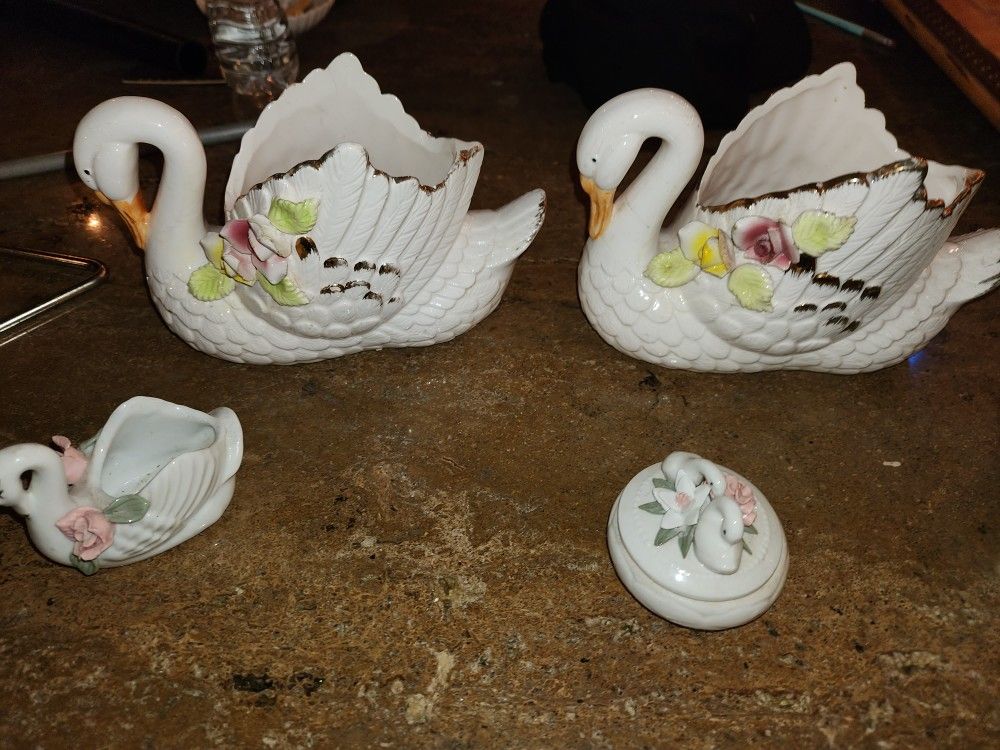 Swans