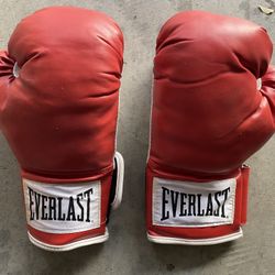 Boxing Gloves Everlast