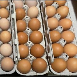 Farm Fresh Eggs 