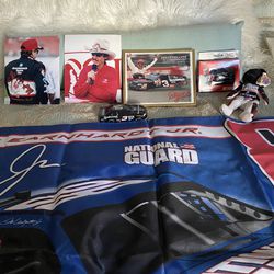 Dale Earnhardt & Dale Earnhardt Jr  Collection