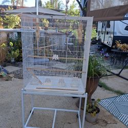 Bird Cage 