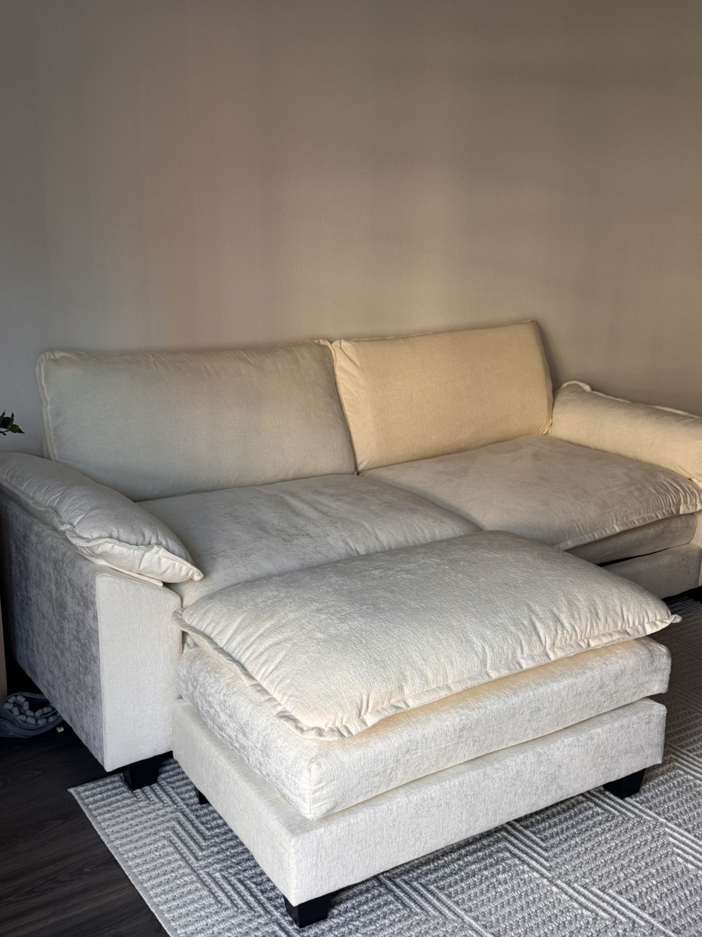 Loveseat Sofa With ottoman 