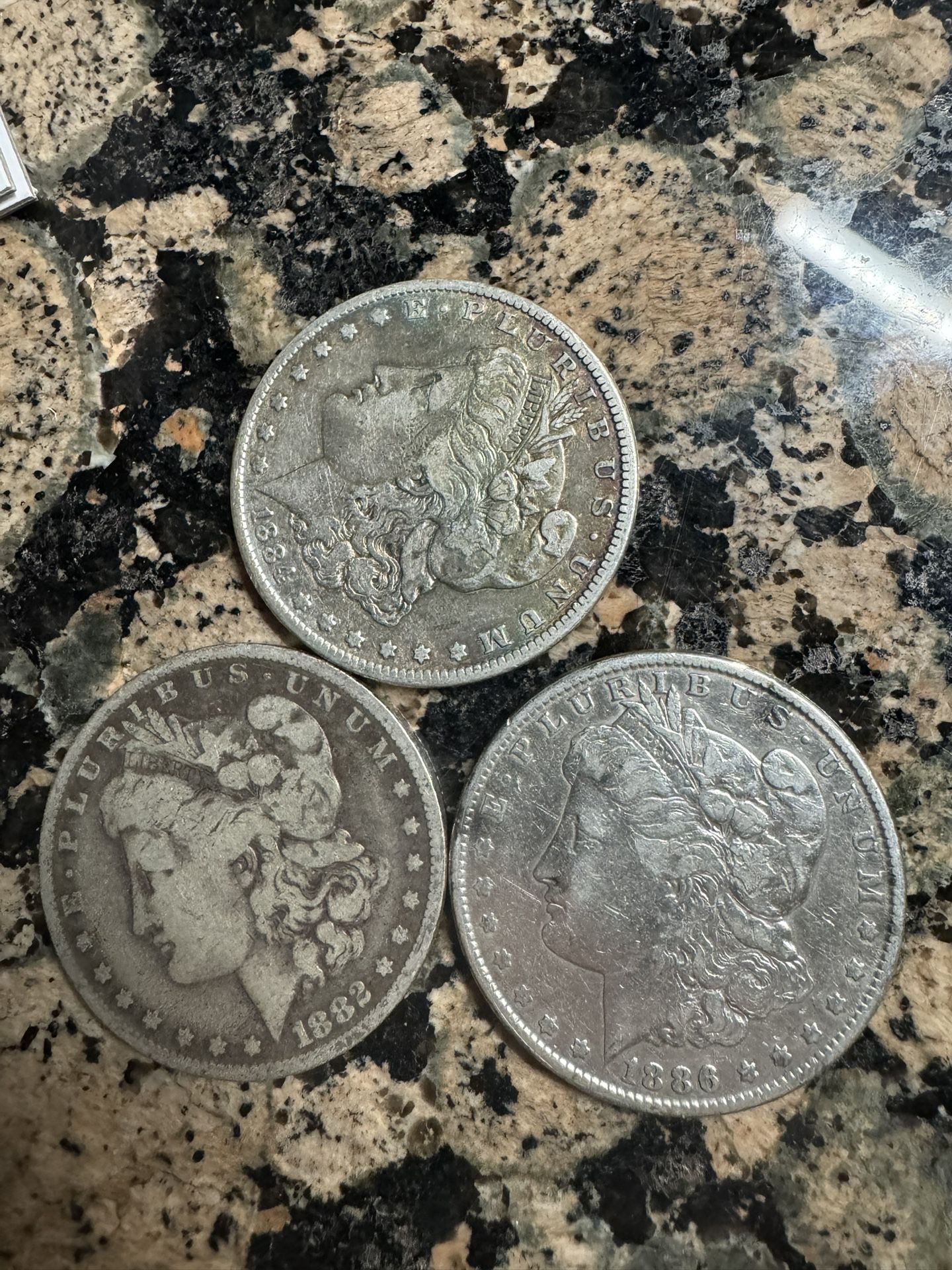 Morgan Silver Dollars $30 Each