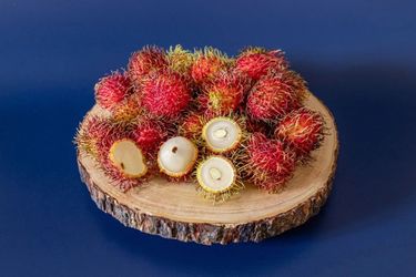 Rumbutan Tree