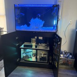 60 Gallon Saltwater Set-Up (WaterBox)