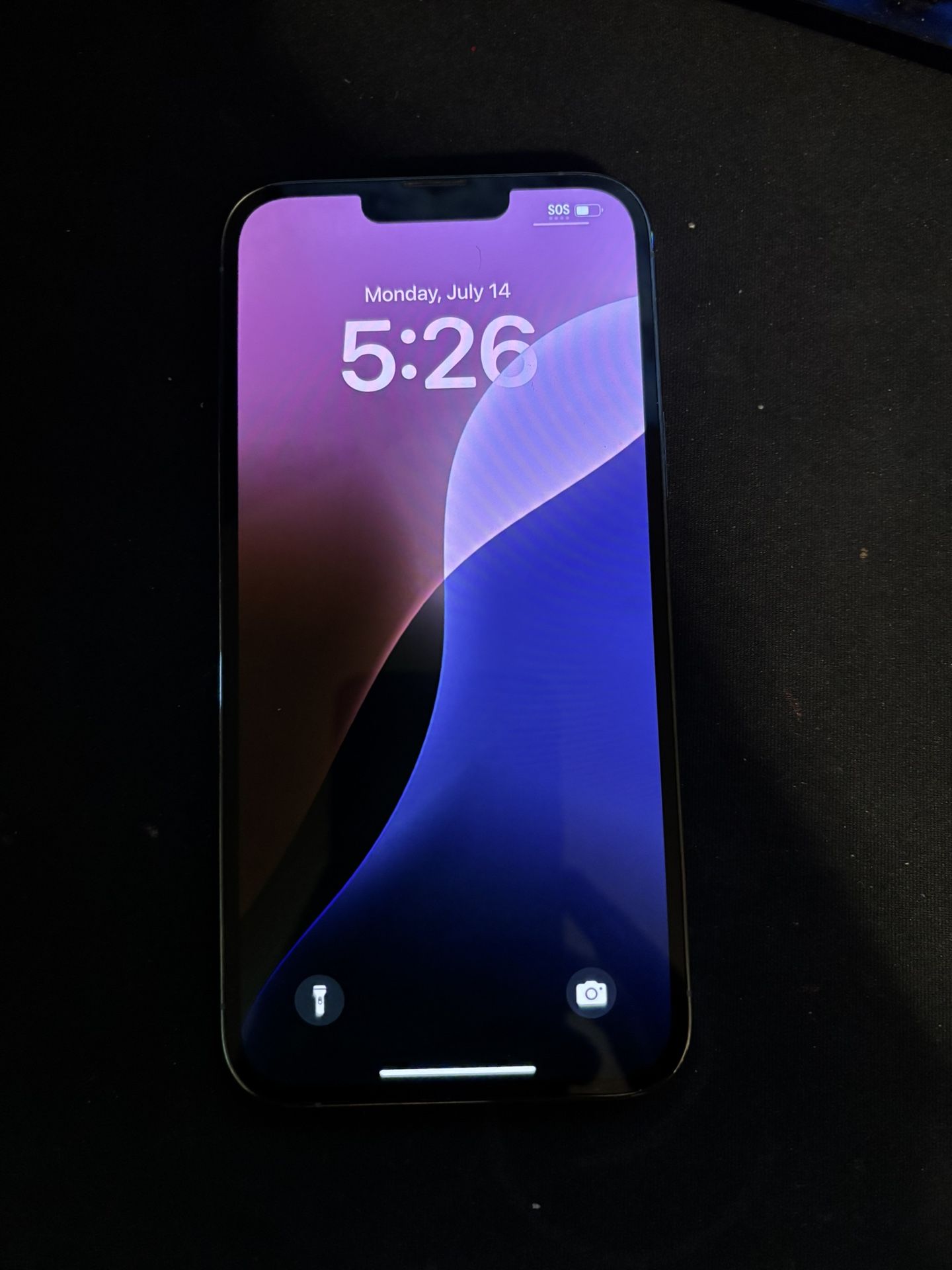 iPhone 13 Pro Max