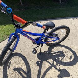 Specialized Brand , Blue Color 20 Inch