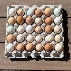 Chicken Eggs For Sale