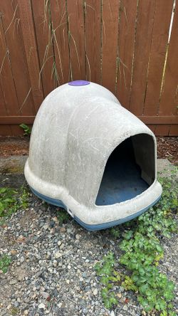 Dog house