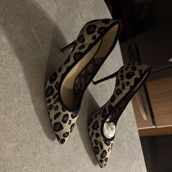 Women’s High Heels 