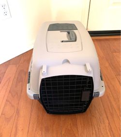 PET CARRIE / NEW