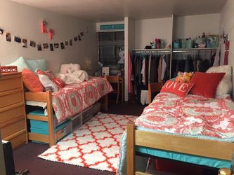 Shag Rug 5x7 & comforter & matching curtains!