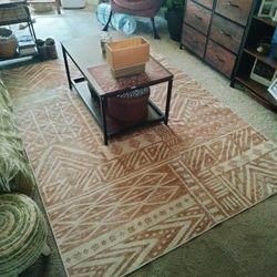 5x7 Boho Area Rug 