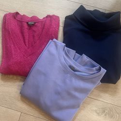 3 Ladies Sweater/sweatshirt’s Size Lg