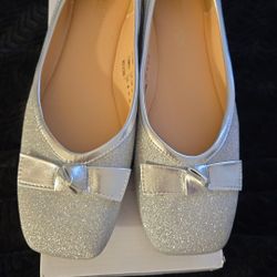 Beautiful Silver Sparkly Ballet Style Shoes