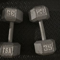 35lbs dumbbells   Set of 2