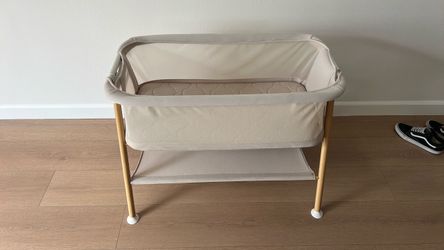 Newton bassinet