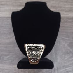 San Francisco 49ers 4x World Champions Ring