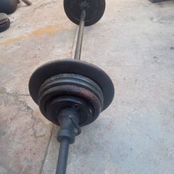 WEIGTHS  PLATES & BARBELL   120 Pounds