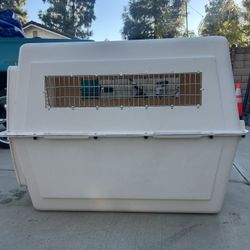 Dog Kennel
