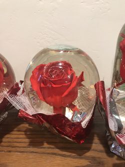 Roses in glass $20 !! 9*0*9*2*3*2*2*8*5*7