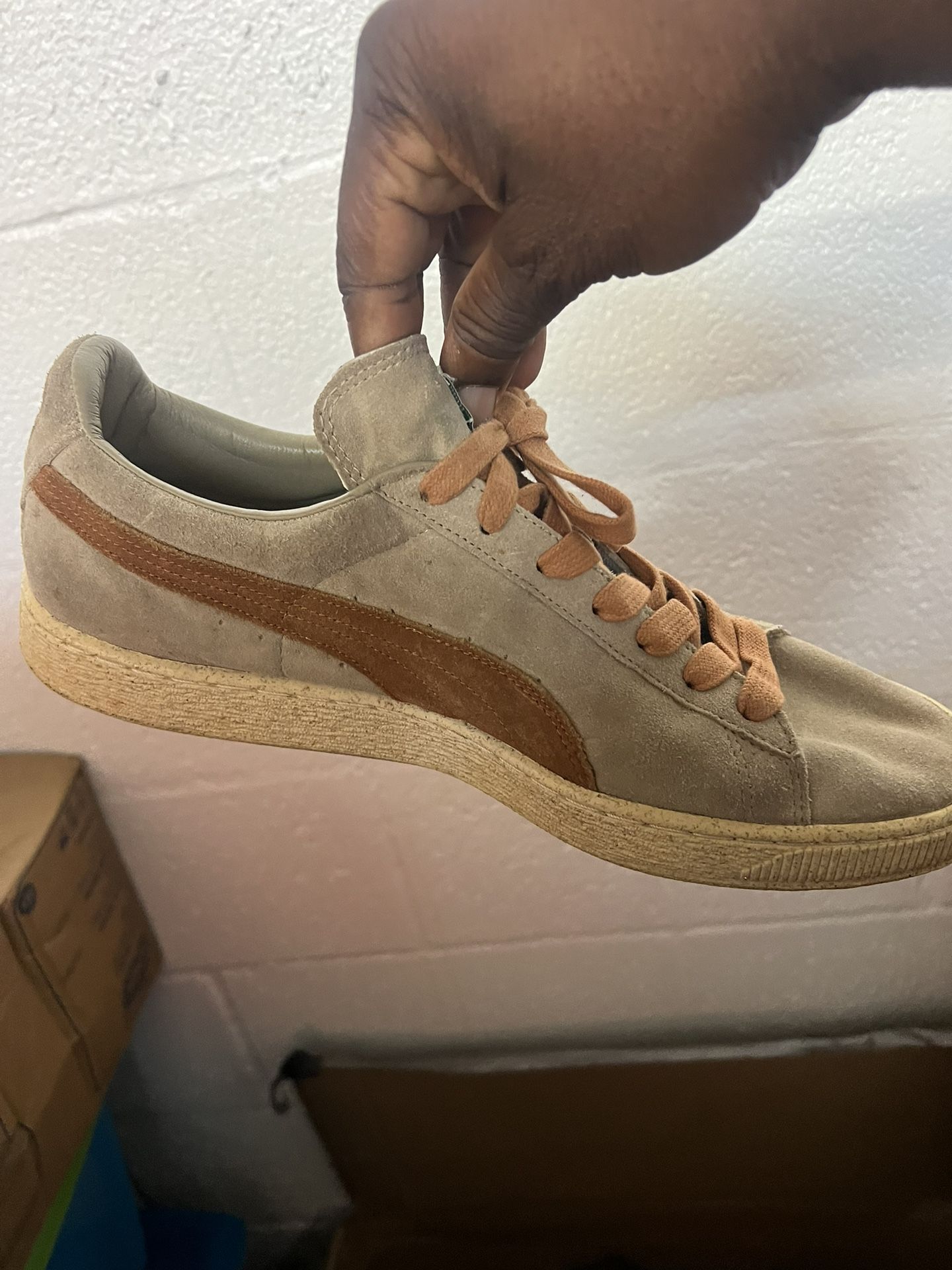 Puma