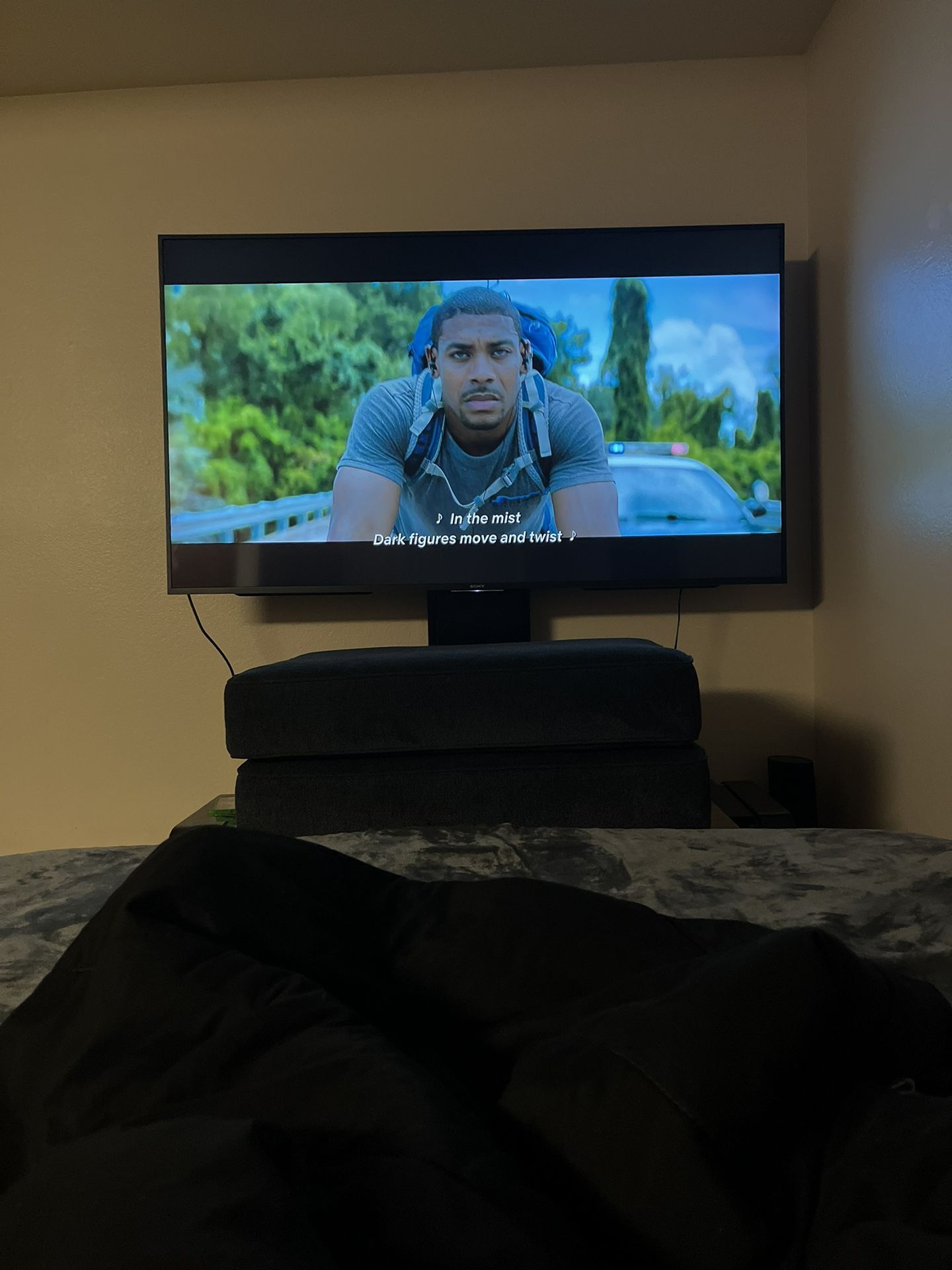 75 Inch TV w/ stand