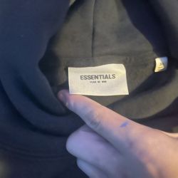 Brand New Essential Hoodie