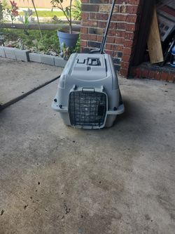 C For Cat Or Small Dog