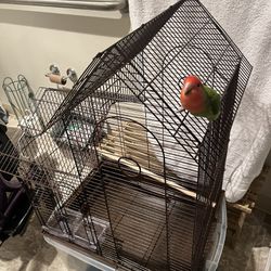 Bird Cage! Great For One Bird Or Two Smaller (finches)