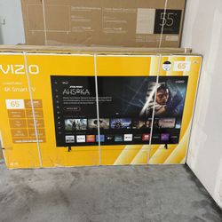 55”OUTDOOR TV ROKU SMART 4K