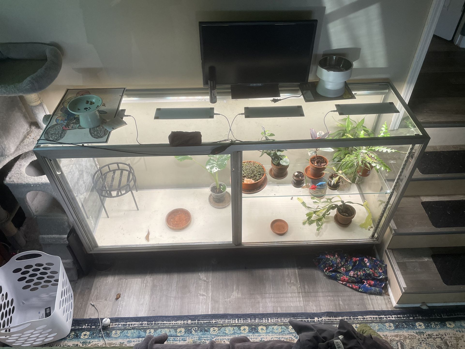 Large Display Case