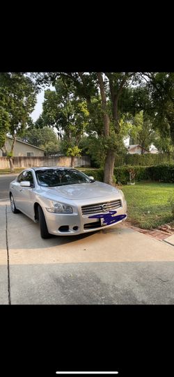 Nissan Maxima S 2010