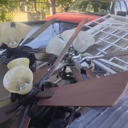 Abanicos 10  Cada Uno