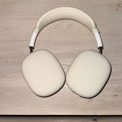 AirPods Max Lighting Connector.