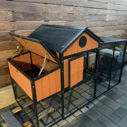 Chicken Coop