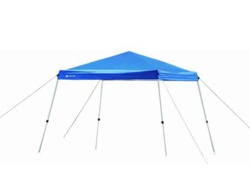 10x10 canopies (read description !)