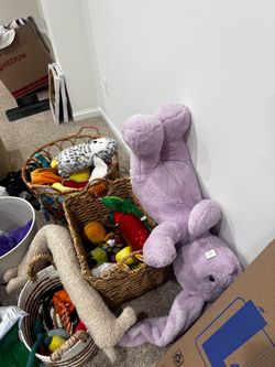 Bin of dog toys - 20 toys