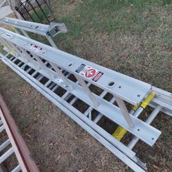 Ladder Transporter New