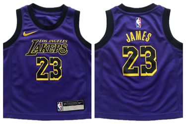 Nike Los Angeles Lakers Lebron James #23 Purple Jersey 3T Toddler Kids