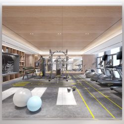 Large Mirror 79x32 (2 Pack)