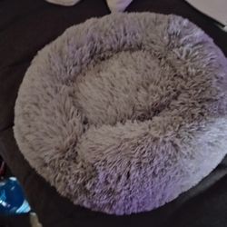 cat bed