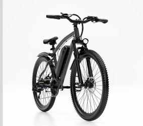 Adult Electric Bicycle